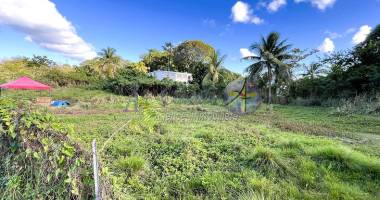 environnement calme - quartier résidentiel
