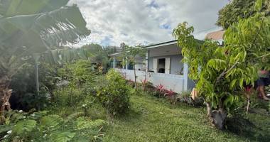 maison f4 meublée avec grand jardin ombragé les avirons