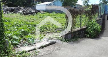 parcelle bornée de 290m² quartier calme de trois mares le tampon