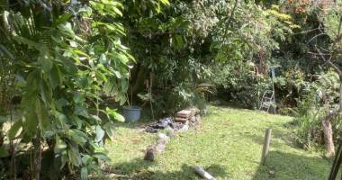 a vendre terrain constructible avec une belle piscine - au centre ville de la possession.