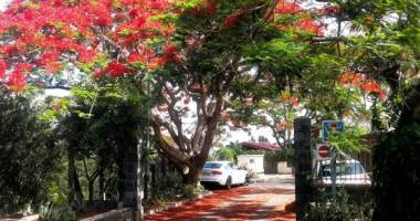 maison secteur État major la montagne