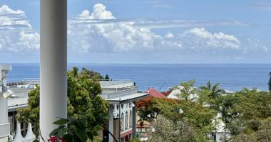 maison duplex vue mer, coeur de saint-pierre, jardin, parking, aucun vis-à-vis