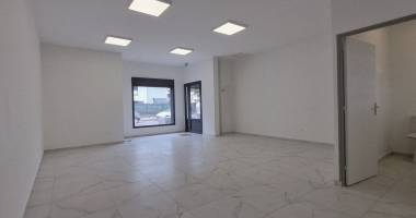 local professionnel ou commercial 48 m2