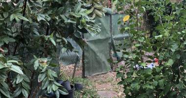 a le port  ideal investissement ou premier achat  -  maison  d’habitation type t3