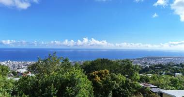 terrain colline des camélias