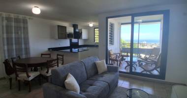 appartement saint denis 2 pièce(s) 50.58 m2