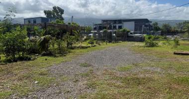 location d'un terrain de 1000m2 sur cambaie saint paul