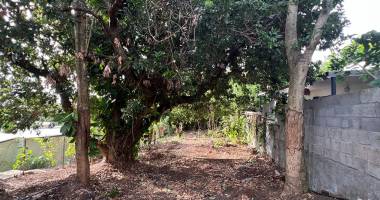 terrain à vendre à piton saint-leu : proche église, 229 m² constructible