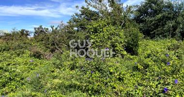 terrain constructible - plaine des cafres, bourg murat