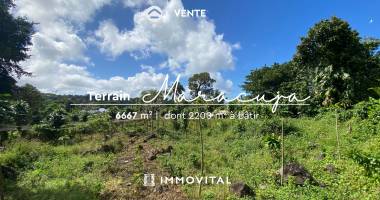 terrain à vendre   6 667 m2   dugommier - saint-claude