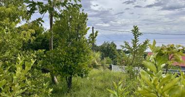 saint joseph  97480 - terrain avec vue mer - au calme - facile d'acces