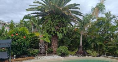 villa d'architecte en duplex 5 chambres avec piscine et jardin paysager de 620 m2 rivière st louis