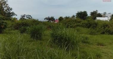 terrain de 7 690 m2 au tampon bras creux