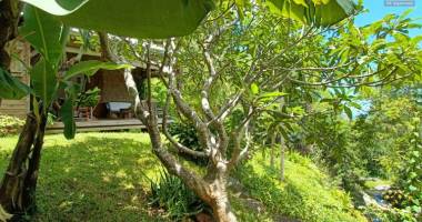 magnifique maison bois de type f3+ plain pied, petite vue mer, bassins naturels, 470 m² de terrain