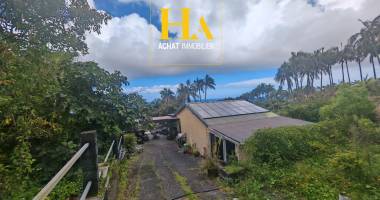 saint- philippe maison créole sur 670m²