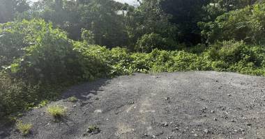 tampon 97430 - terrain À bÂtir - quartier calme - beau potentiel