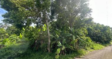 À vendre – terrain 928 m² – saint-joseph (97480)