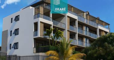 appartement 2 pièces neuf au coeur de saint-pierre