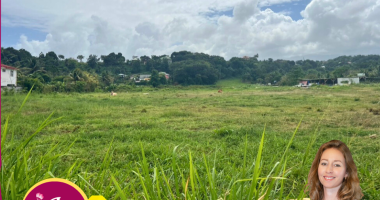 À vendre - terrain 15 228 m2 avec permis accordé   montebello, petit-bourg