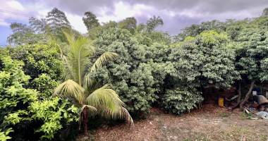 saint pierre - maison sur deux niveaux - vaste terrain arborÉ