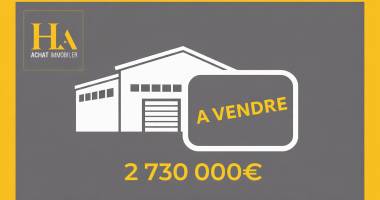 local d'activité saint pierre 1800 m2