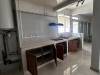 miniature