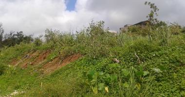 goyave  - terrain à bâtir