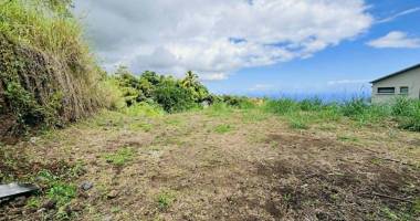 bois de nefles saint paul - grand terrain de 1 050 m2