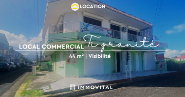 local commercial À louer - 44 m2 idÉal pour professionnels