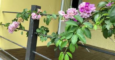 a louer villa meublée  a la riviére saint louis