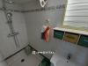 miniature