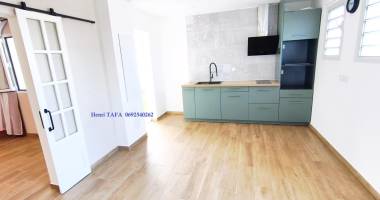 bel appartement t2 à petite-ile
