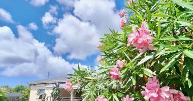 maison f3 meublee mitoyenne intimiste 70m2 proche helleux avec citerne