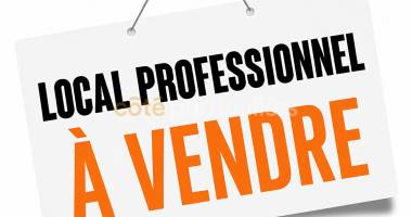local professionnel - 340m2