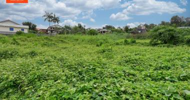a vendre- le tampon- terrain de 550m2