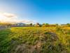 miniature