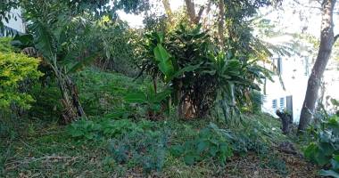 a vendre terrain de 374 m2 a st gilles les hauts