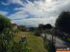 miniature