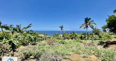 petite ile 97429 - terrain en zone ud - fort potentiel - secteur residentiel