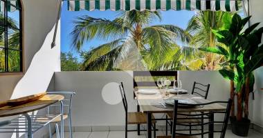 appartement saint paul 1 pièce(s) 30.44 m2