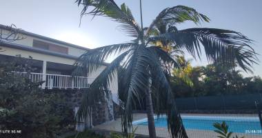 villa f5 avec piscine et vue océan proche du centre ville des avirons