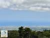 miniature