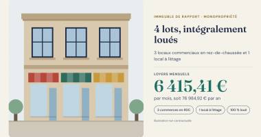 immeuble de rapport À vendre – saint-pierre (97410)