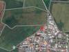 miniature