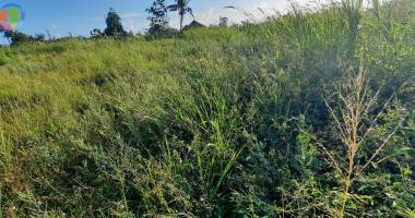 terrain de 3200m² constructible sur st-benoit