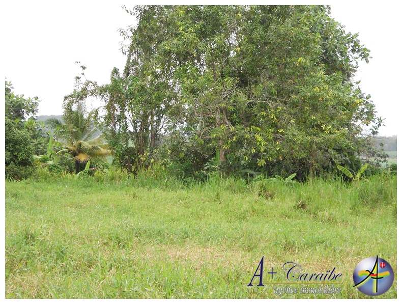 Achat Terrain Capesterre Belle Eau (97130) Guadeloupe Basse Terre Sud ...