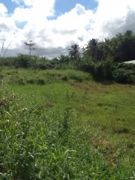 Achat Terrain Le Moule (97160) - GUADELOUPE