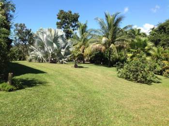 Achat Maison Lamentin (97129) - GUADELOUPE