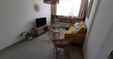 a louer  un magnifique t3 meuble standing au centre ville de st denis, ile de la reunion